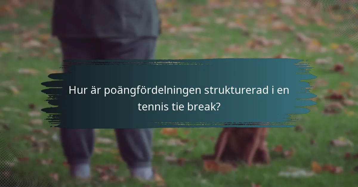 Hur är poängfördelningen strukturerad i en tennis tie break?