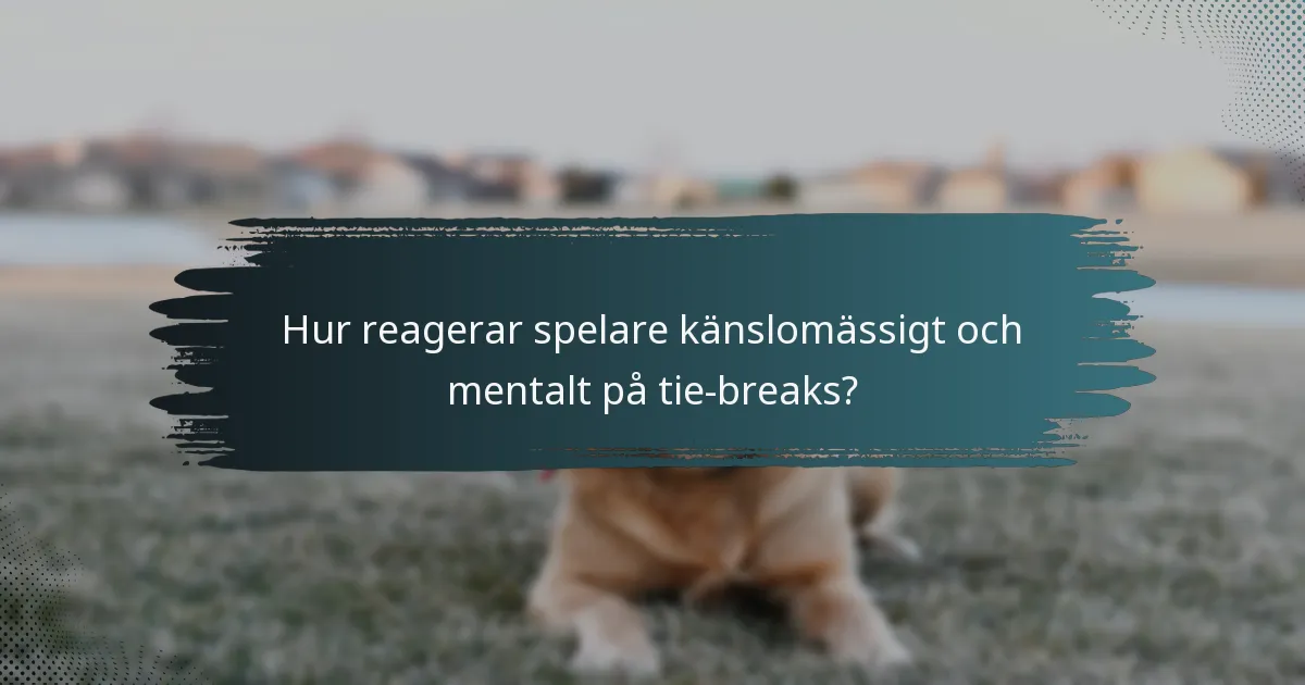 Hur reagerar spelare känslomässigt och mentalt på tie-breaks?
