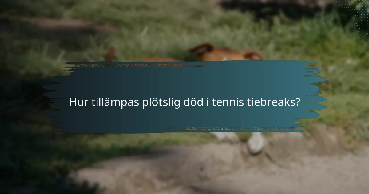 Hur tillämpas plötslig död i tennis tiebreaks?