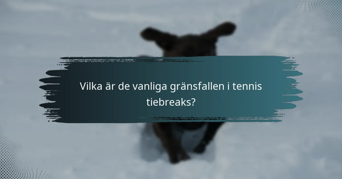 Vilka är de vanliga gränsfallen i tennis tiebreaks?