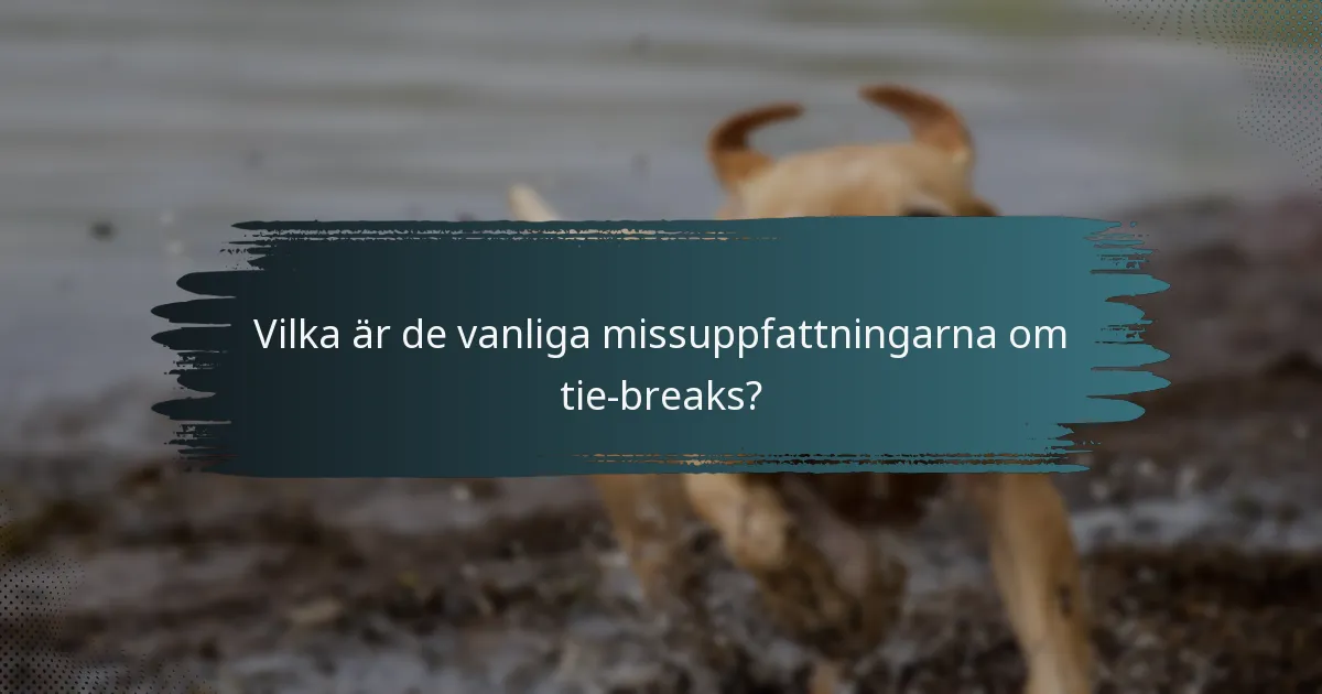 Vilka är de vanliga missuppfattningarna om tie-breaks?