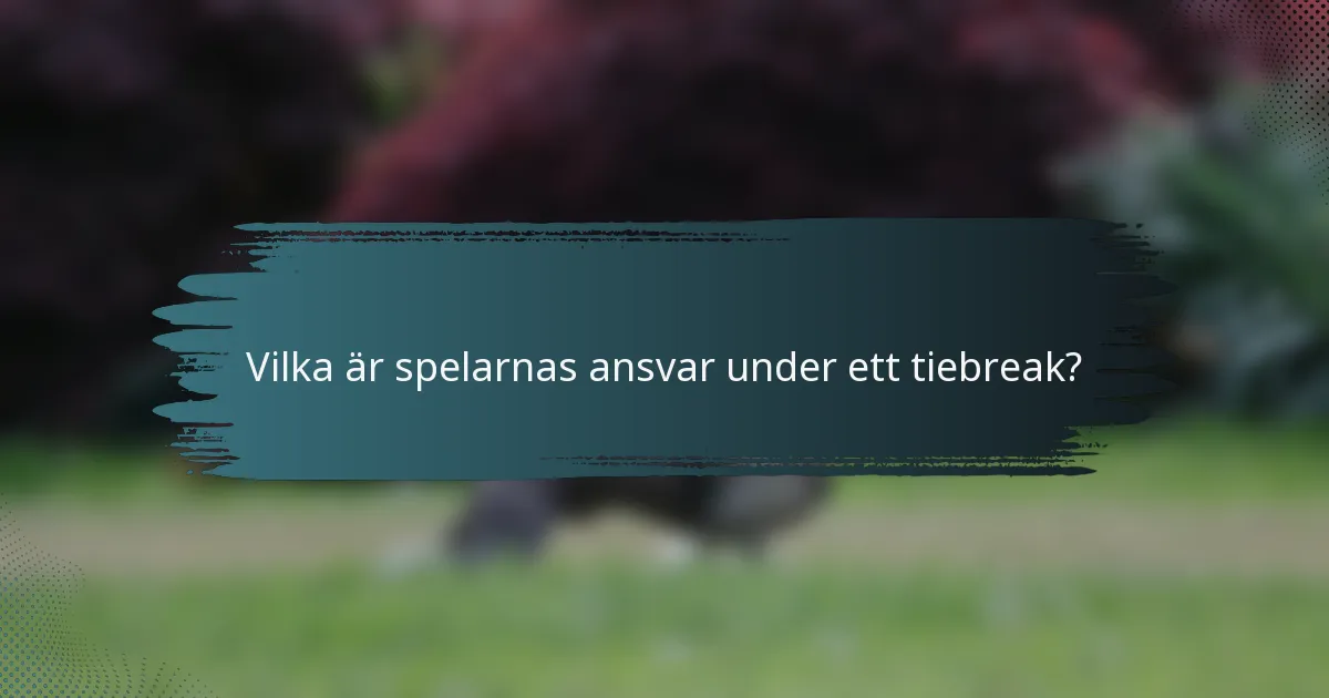 Vilka är spelarnas ansvar under ett tiebreak?