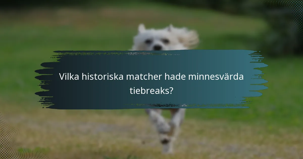 Vilka historiska matcher hade minnesvärda tiebreaks?