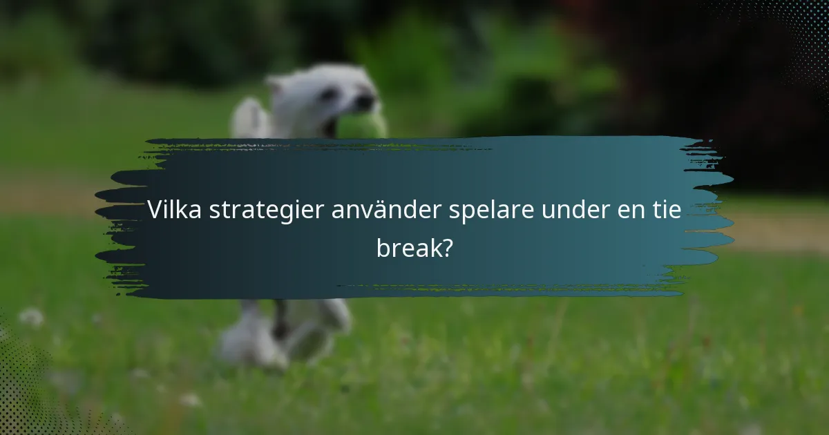 Vilka strategier använder spelare under en tie break?